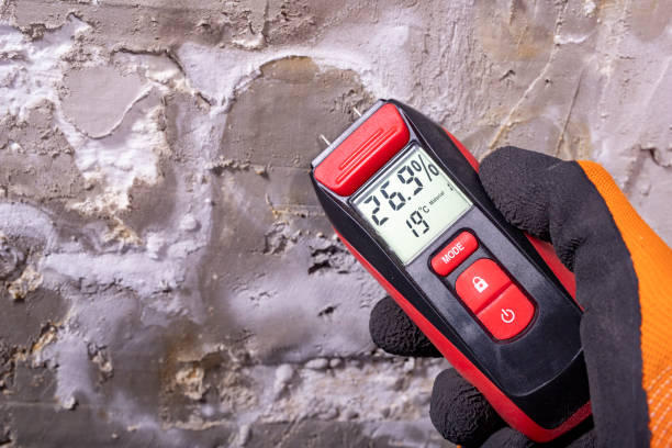 Office Mold Removal Services in Akron, NY