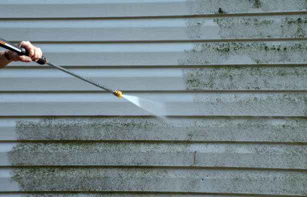 Best Attic Mold Removal  in Akron, NY