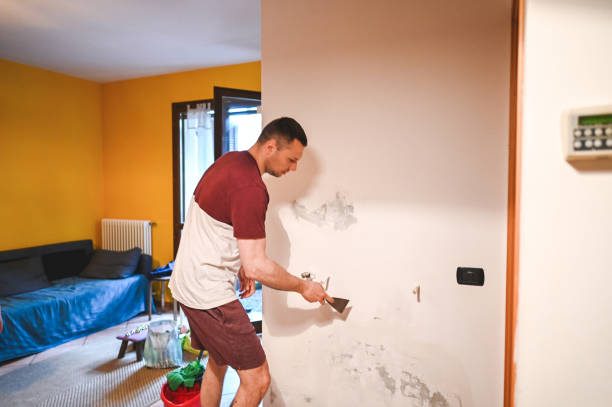 Best Crawl Space Mold Removal  in Akron, NY